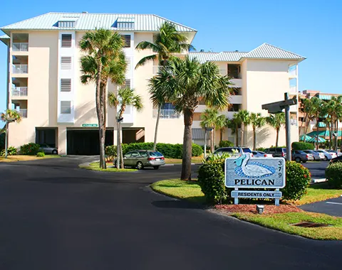 Community Pelican featured image