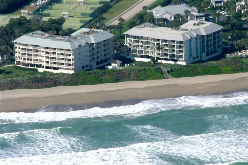 Pelican and Spoonbill Aerial 4x6 Crop