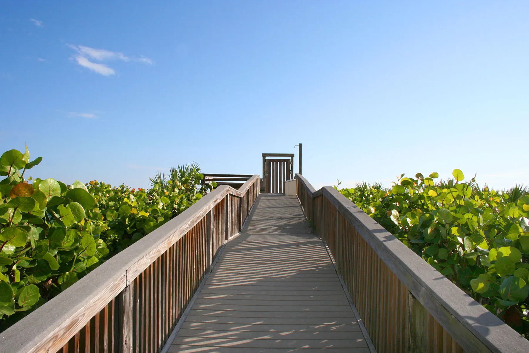 Plantation House Beach View (2)